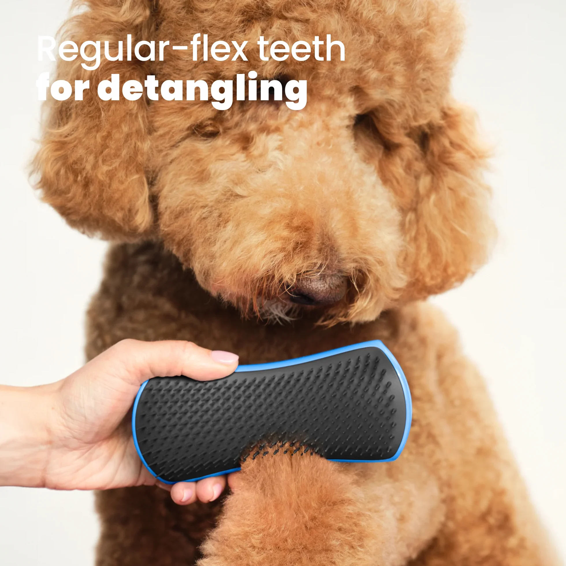 Detangling Dog Grooming Brush A3