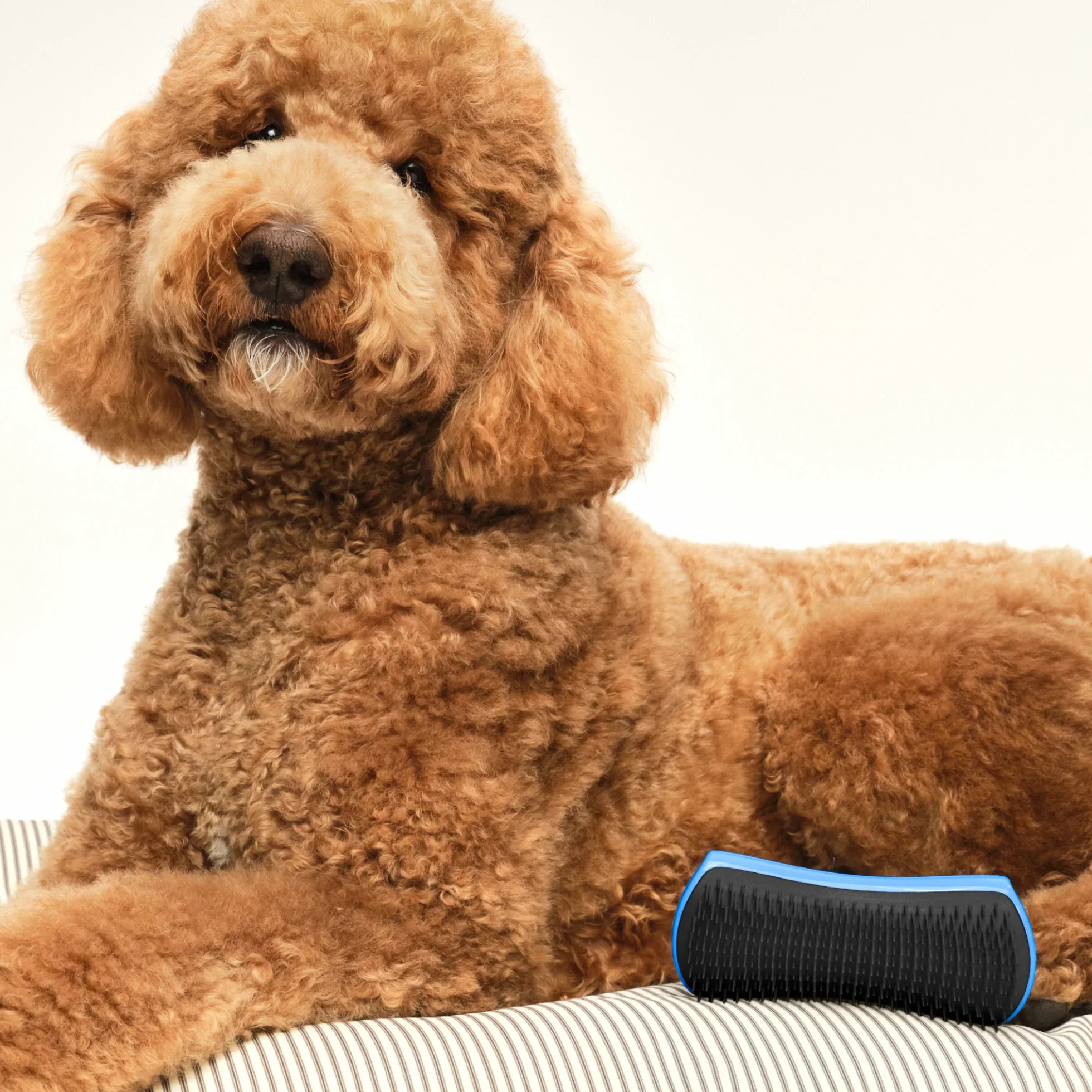 Detangling Dog Grooming Brush A3