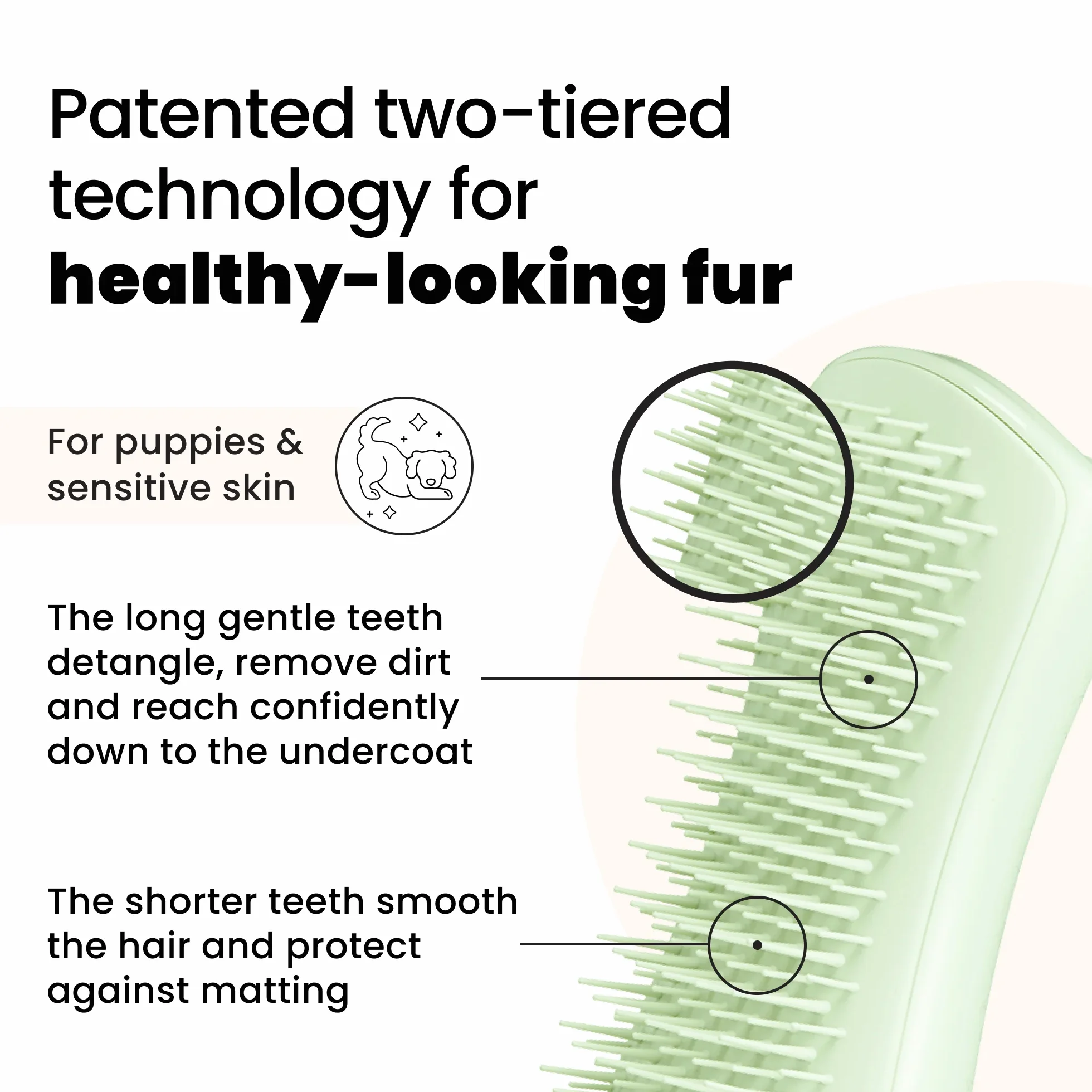 Puppy Brush A6