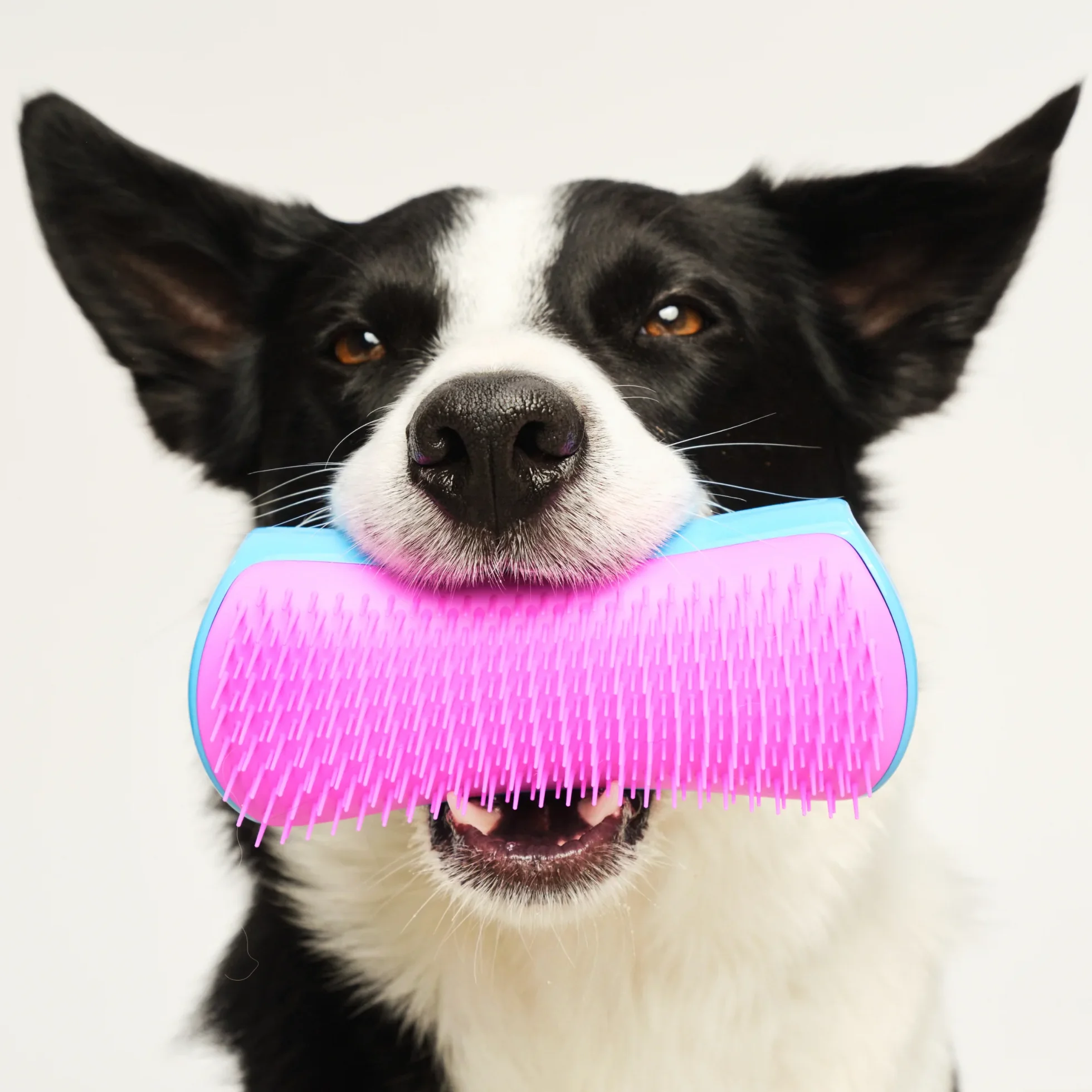 De-shedding Dog Grooming Brush D1