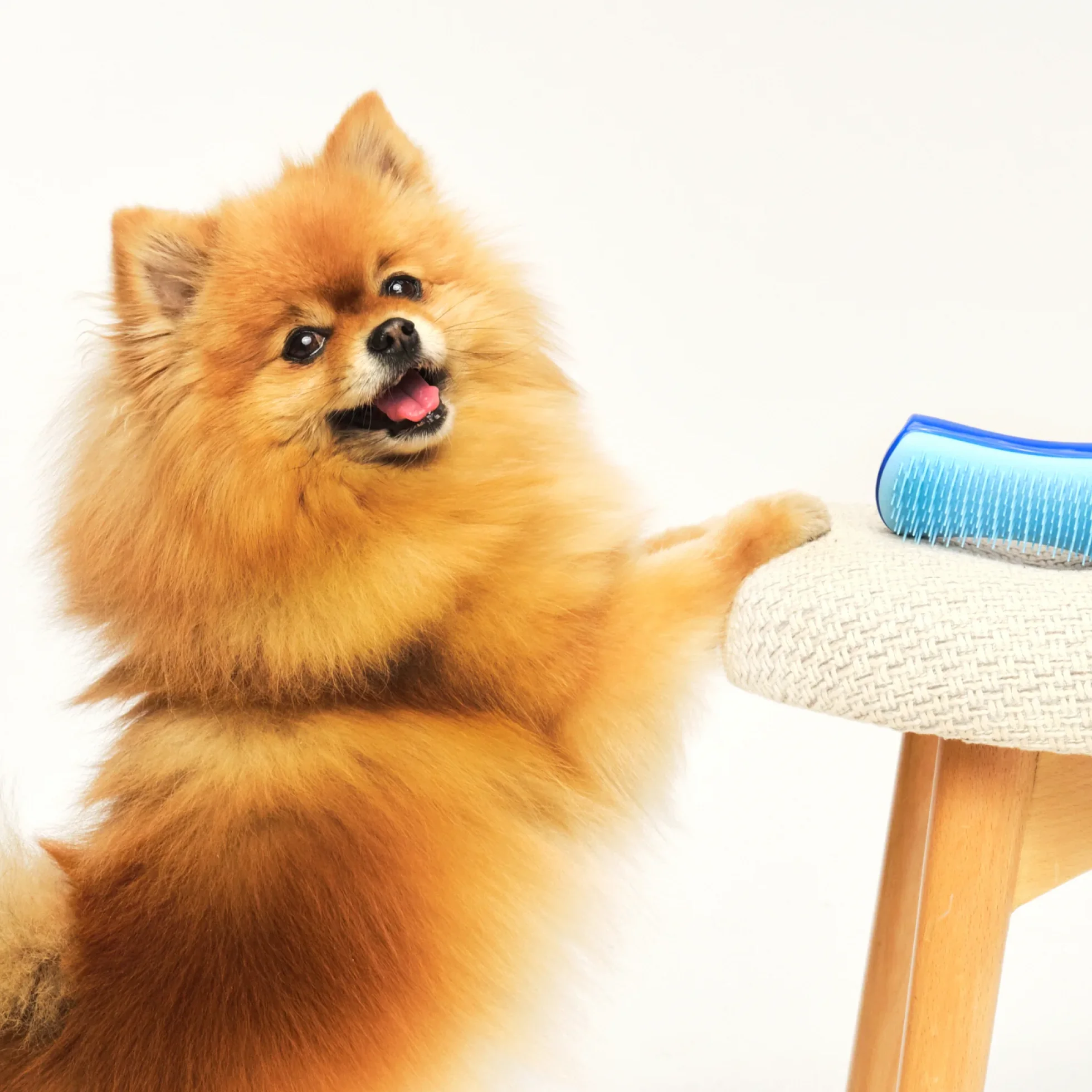 De-shedding Dog Grooming Brush D1