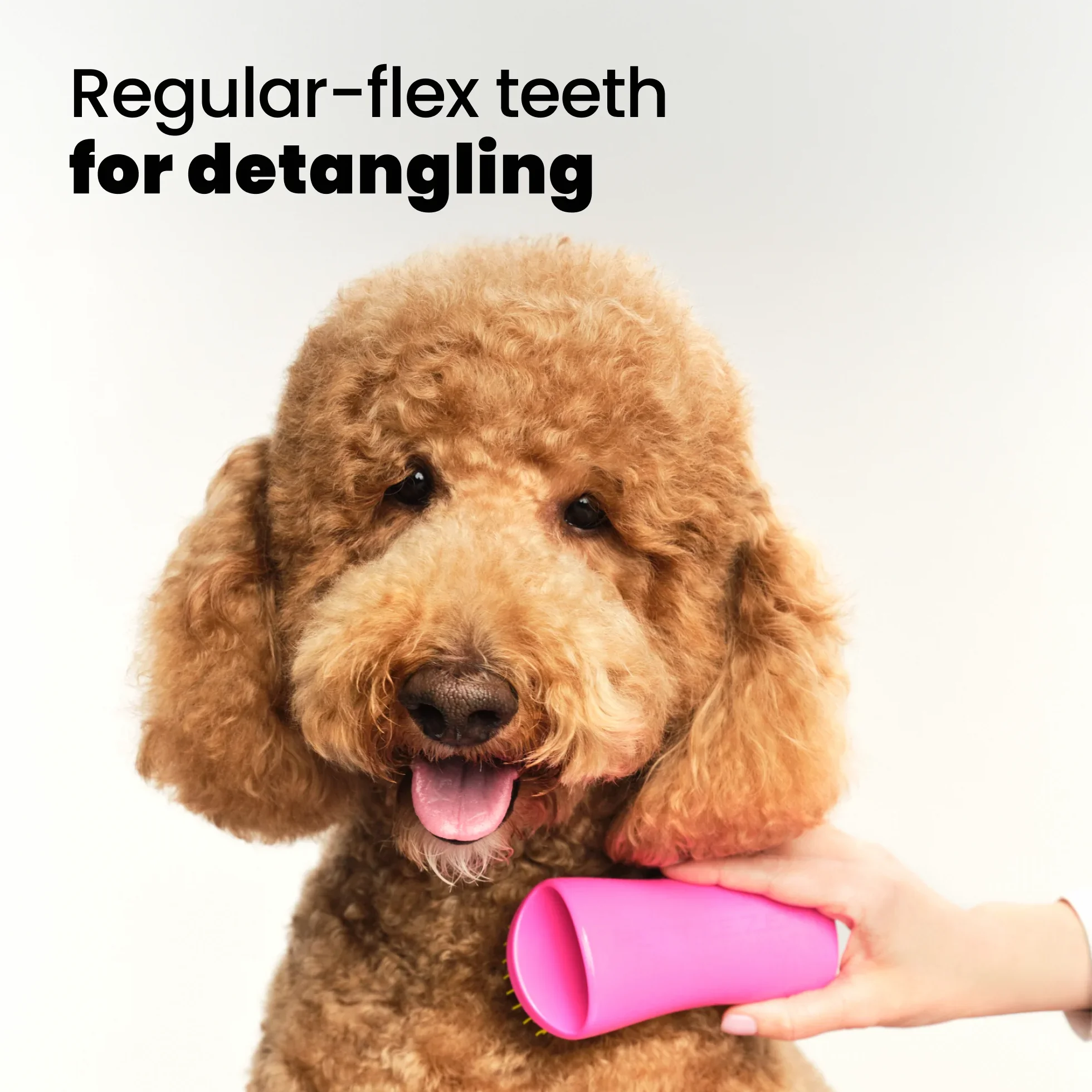 Detangling Dog Grooming Brush A3