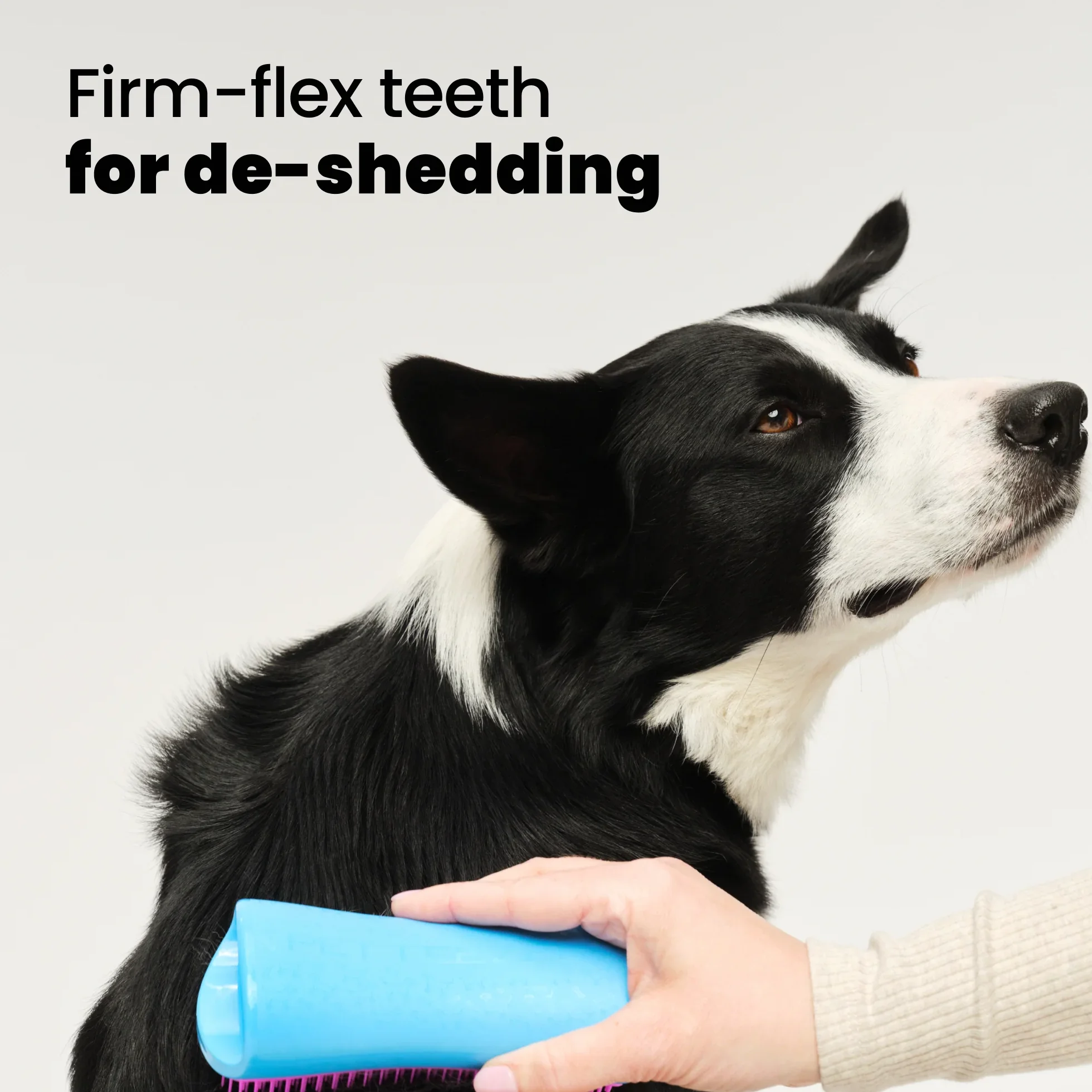 De-shedding Dog Grooming Brush D1