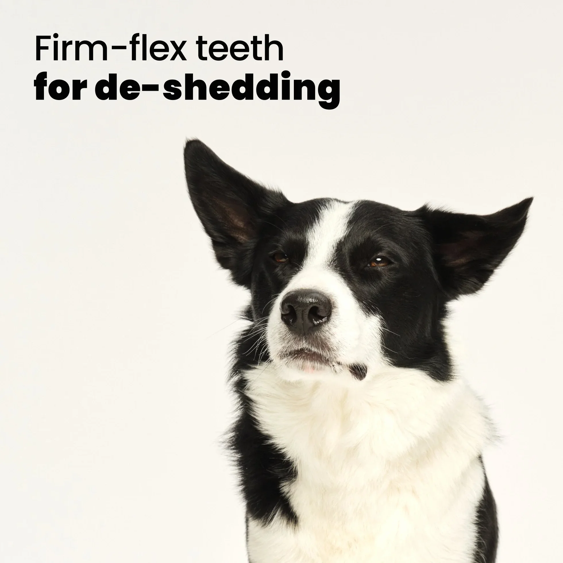 De-shedding Dog Grooming Brush D1