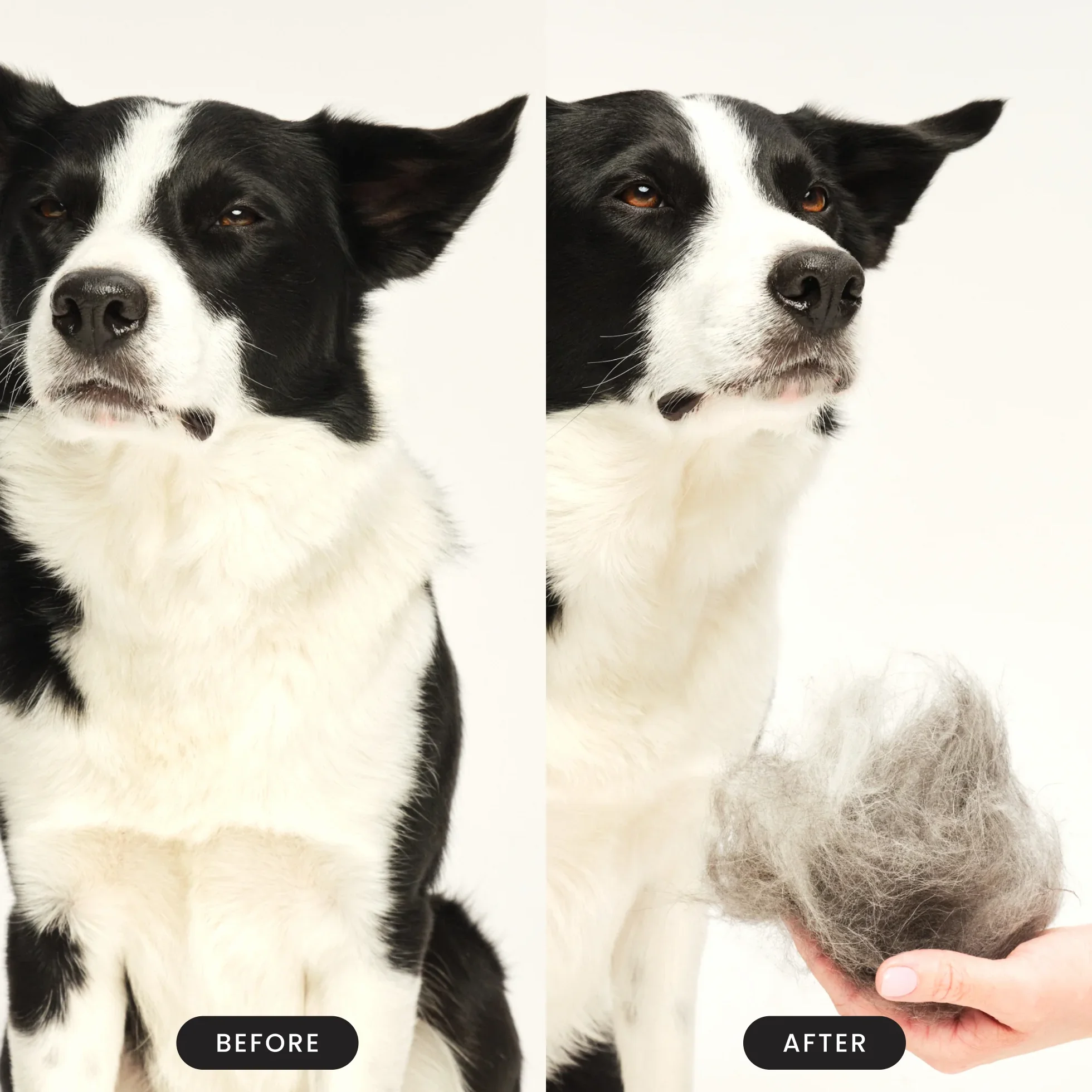 De-shedding Dog Grooming Brush D1