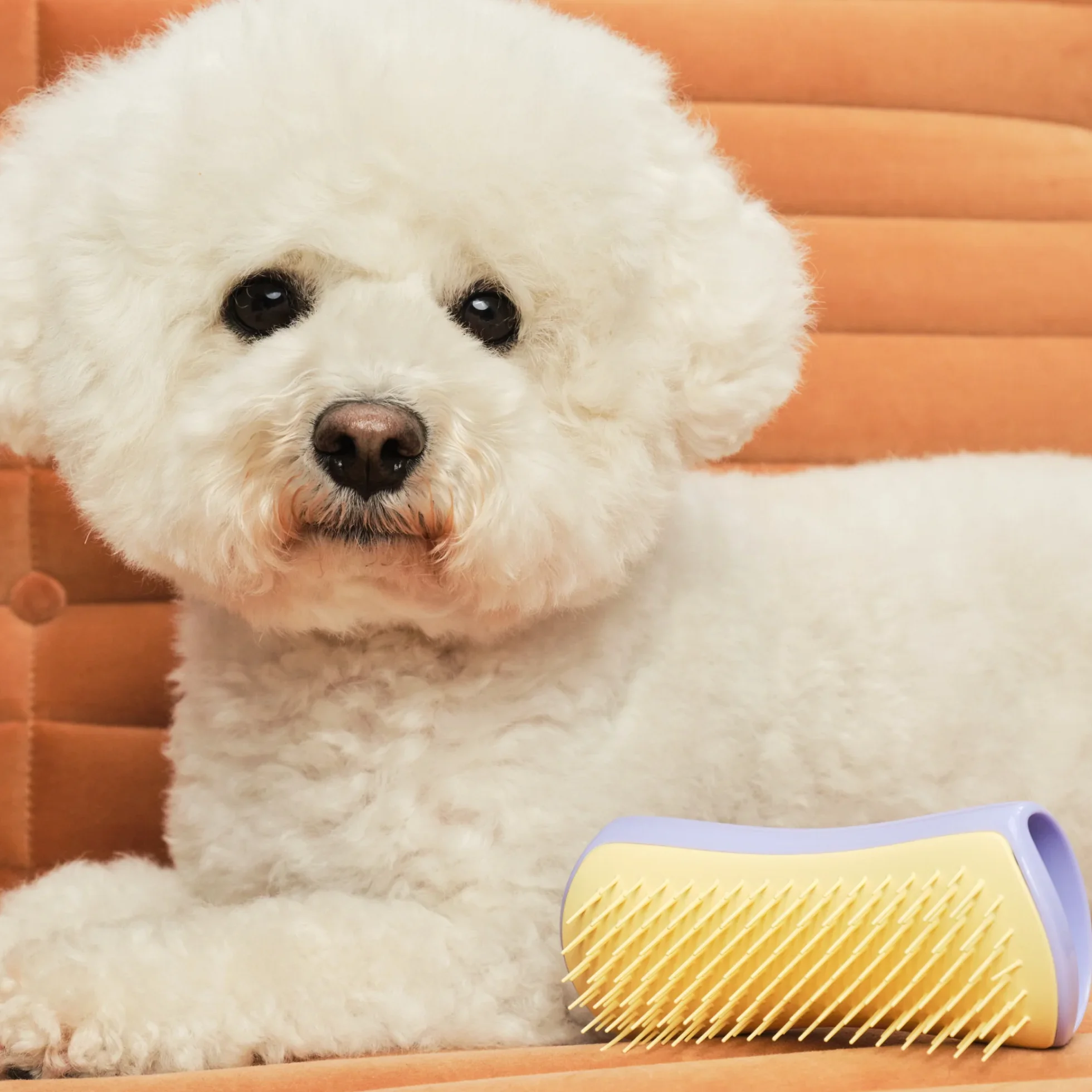Detangling Dog Grooming Brush A3