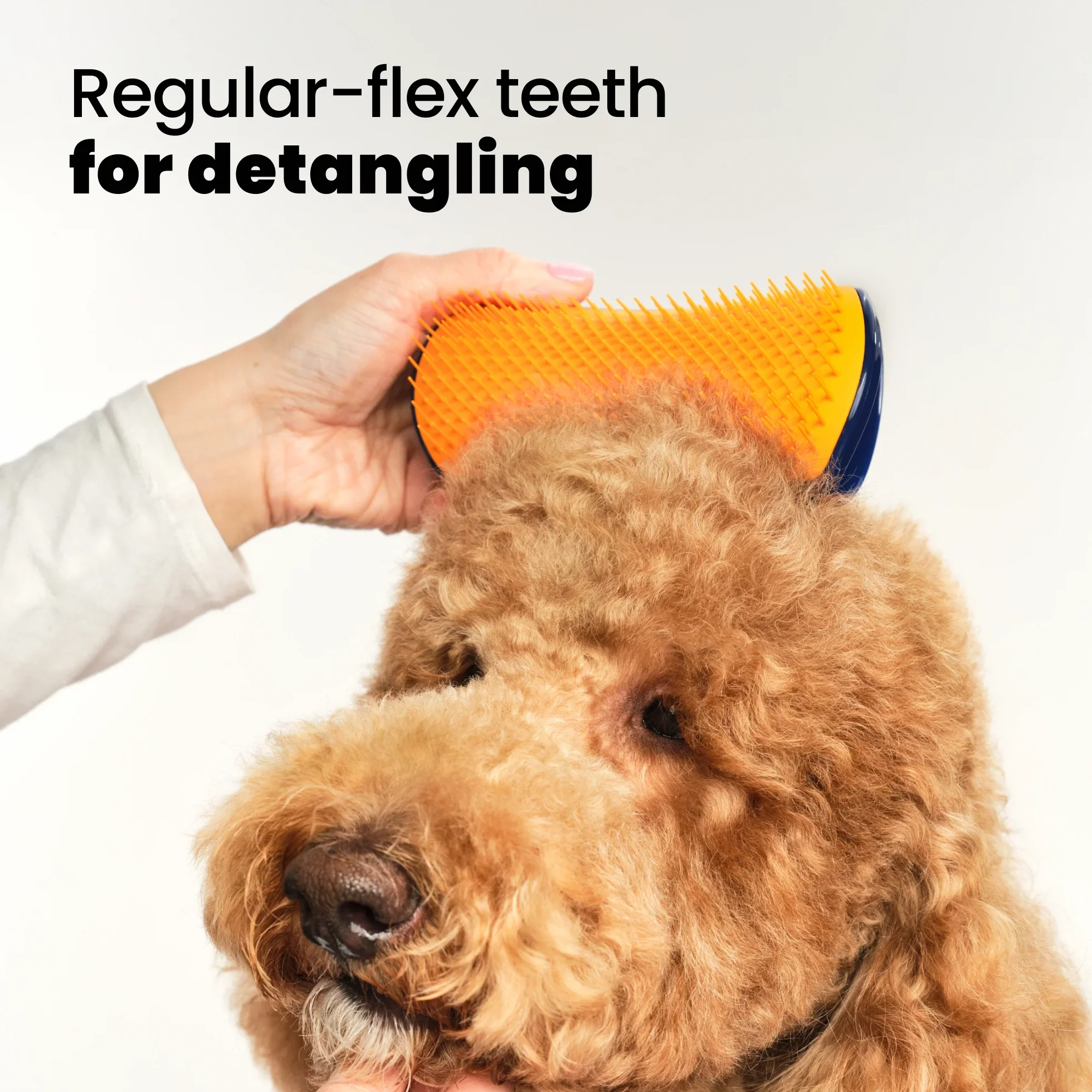 Detangling Dog Grooming Brush A3