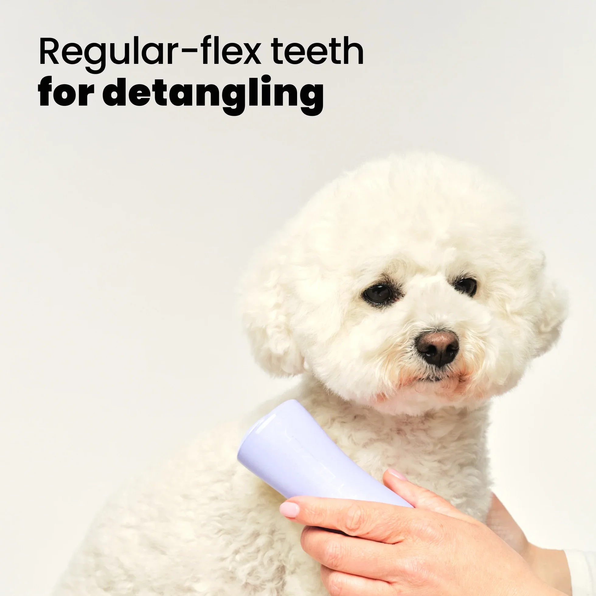 Detangling Dog Grooming Brush A3